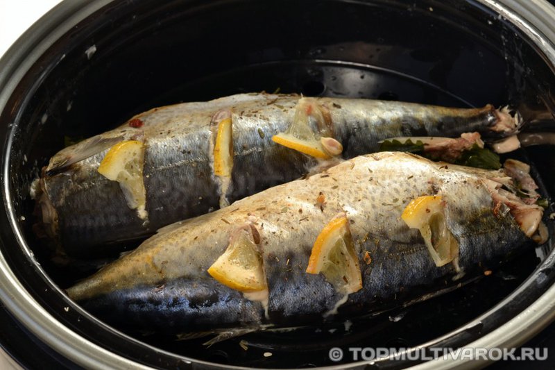 Скумбрия с лимоном и зеленью на пару в мультиварке